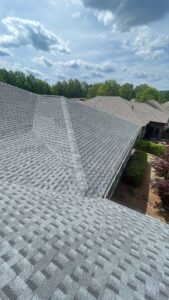 Pewter Gray Roof