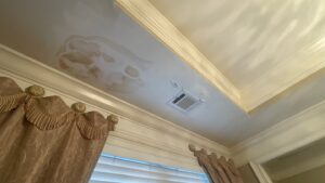 Brown Spot on Ceiling